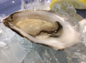 Oyster on ice
