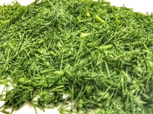 Swedish salmon pudding