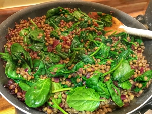 Autumn salad with Puy lentils, red wine and onions